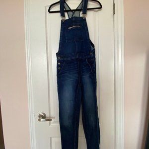 American Eagle Overalls